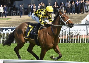 The humble benchmark with an extraordinary Group 1 record