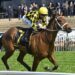 The humble benchmark with an extraordinary Group 1 record