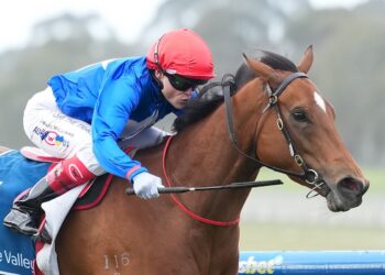 Sunday Wash-Up: Sandown turns the corner, racing needs more prize fights and 2YO cracks emerge