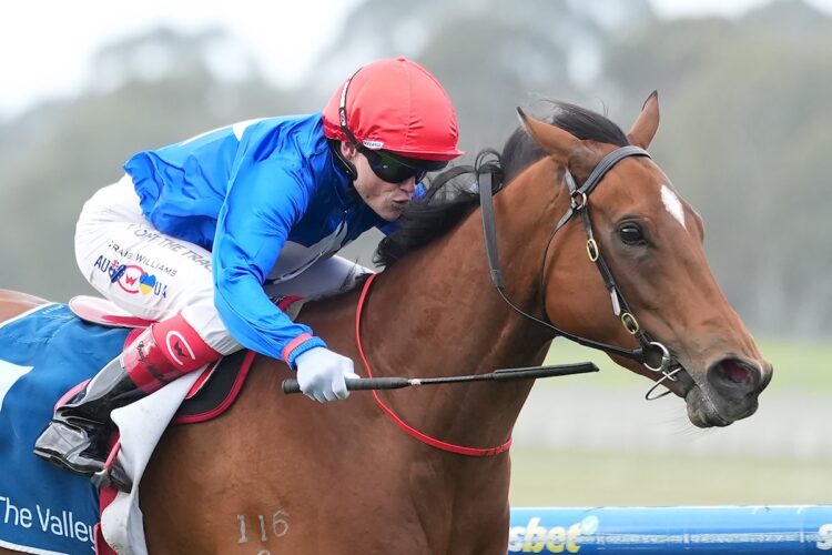 Cavalry Girl ridden by Craig Williams wins the Paramount Liquor Carlyon Stakes at Sportsbet Sandown Hillside Racecourse on August 22, 2026 in Springvale, Australia. (Photo by Scott Barbour/Racing Photos)