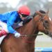 Sunday Wash-Up: Sandown turns the corner, racing needs more prize fights and 2YO cracks emerge