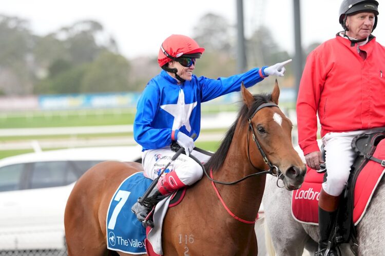 Cavalry Girl ridden by Craig Williams returns to the mounting yard after winning the Paramount Liquor Carlyon Stakes at Sportsbet Sandown Hillside Racecourse on August 22, 2026 in Springvale, Australia. (Photo by Scott Barbour/Racing Photos)