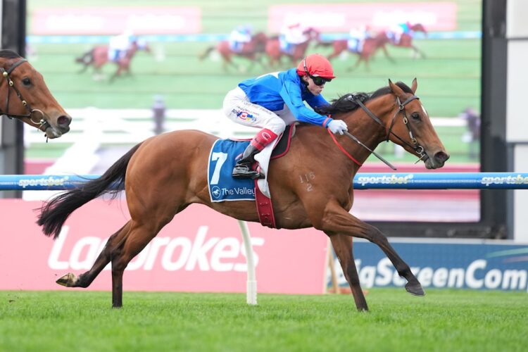 Cavalry Girl ridden by Craig Williams wins the Paramount Liquor Carlyon Stakes at Sportsbet Sandown Hillside Racecourse on August 22, 2026 in Springvale, Australia. (Photo by Scott Barbour/Racing Photos)