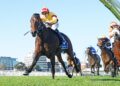 Oliveanotherday puts Everest selectors on notice