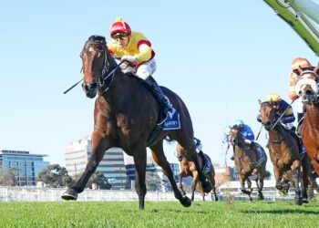 Oliveanotherday puts Everest selectors on notice