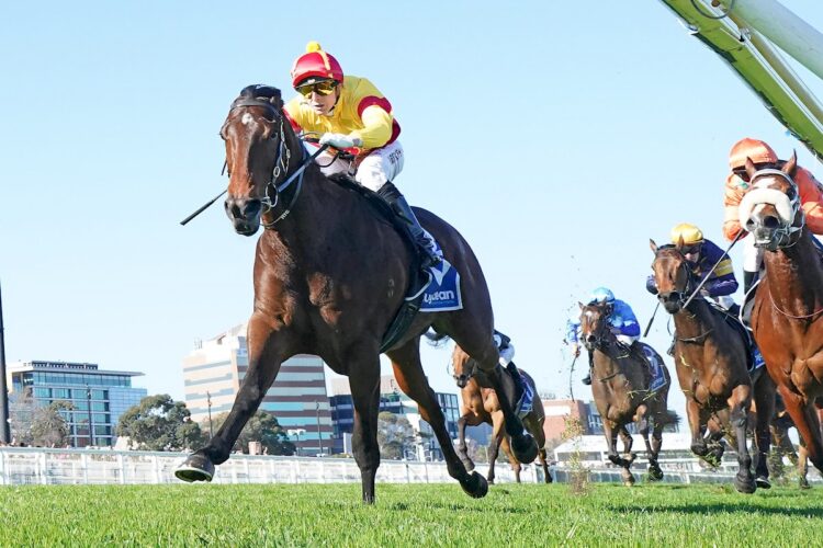 Oliveanotherday ridden by Harry Coffey wins the The Quayclean Heath 1100 at Caulfield Racecourse on August 29, 2026 in Caulfield, Australia. (Photo by Scott Barbour/Racing Photos)