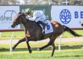 Freedman plots fresh start for Magenta Skies