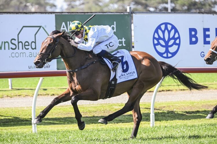 Magenta Skies will make her long-awaited return this weekend after spending 10 months on the sidelines following knee surgery. [Bradley Photos]
