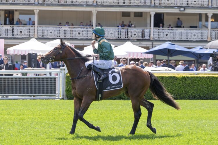 Incognito after winning the Breeders' Stakes (Credit: Bradley Photos)