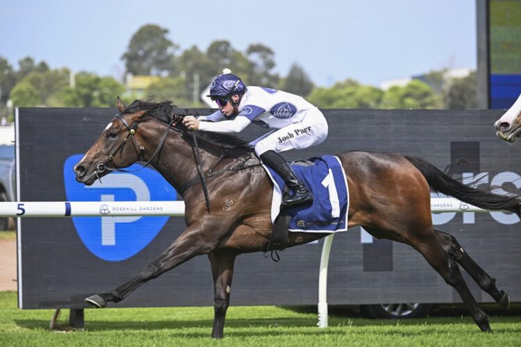 Golden Gift winner Revengeance is closing in on his return as Adrian Bott plots a path towards the Golden Rose. [Bradley Photos]