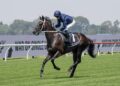 Waller sends Confederation south for fresh start in Vain Stakes