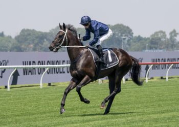 Waller sends Confederation south for fresh start in Vain Stakes