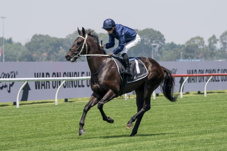 Chris Waller has sent Confederation to Melbourne for Saturday’s Group 3 Vain Stakes at Caulfield. [Bradley Photos]