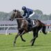 Waller sends Confederation south for fresh start in Vain Stakes