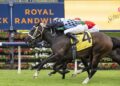 From sale ring to Group 1: Generosity gets another chance