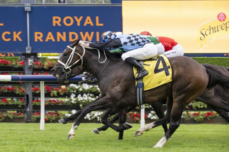 Generosity returns for Chris Waller in Saturday’s Group 1 Moir Stakes after connections abandoned plans to sell the mare and considered a Royal Ascot campaign. [Bradley Photos]