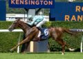 Sharp work earns Reachin’ Out shot at Silver Shadow Stakes
