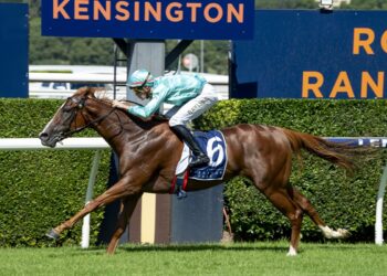 Sharp work earns Reachin’ Out shot at Silver Shadow Stakes