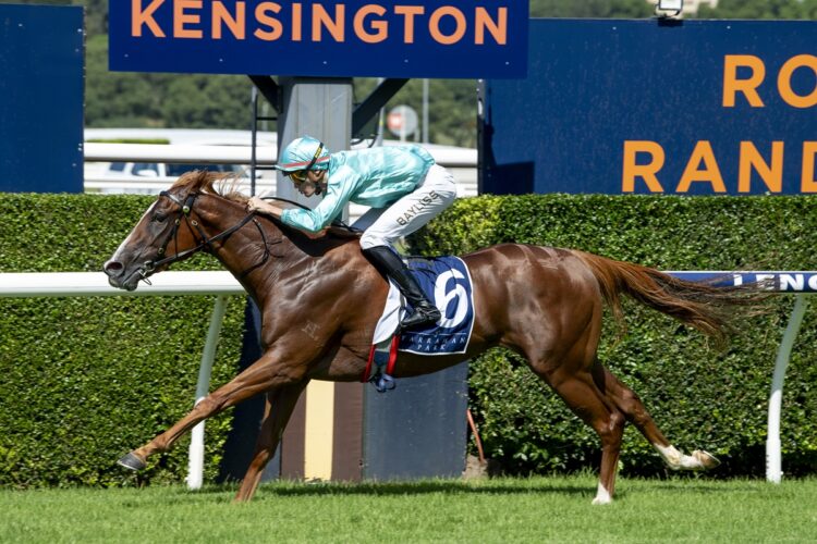 Reachin’ Out will give Tulloch Lodge three runners in Saturday’s Silver Shadow Stakes at Randwick. [Bradley Photo