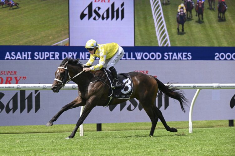 Australian Oaks winner Ohope Wins begins her first full campaign for Chris Waller in Saturday’s P B Lawrence Stakes at Caulfield. [Bradley Photos]