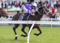 Aeliana scratched after barrier scare as stars step out