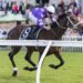 Aeliana scratched after barrier scare as stars step out