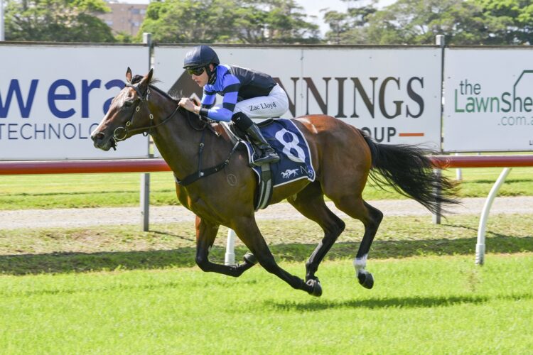 Away Game’s first foal Lady Catalina will make her Melbourne debut in Saturday’s Group 3 Quezette Stakes at Caulfield. [Bradley Photos]