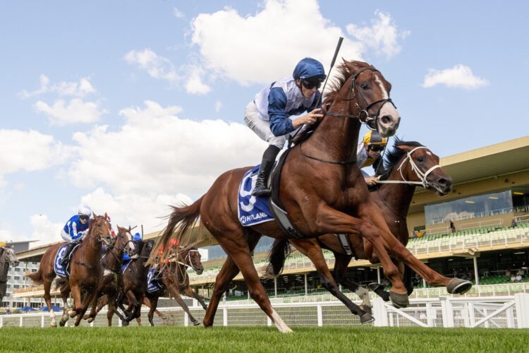 Seraphox will launch his Caulfield Guineas campaign in Saturday’s Group 3 McNeil Stakes at Caulfield. [Bradley Photos]