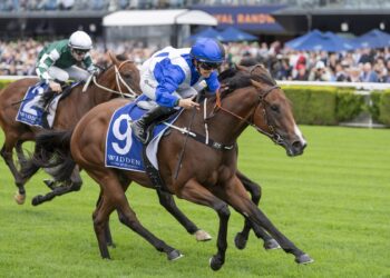 King sees herself in pint-sized Rosebud favourite