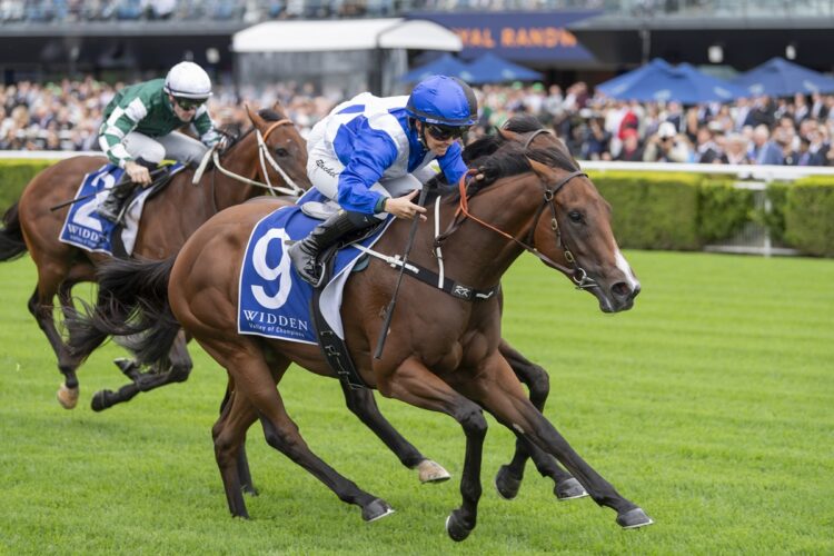 Rachel King believes unbeaten filly Blue Door has the speed and attitude to make her presence felt in The Rosebud. [Bradley Photos]