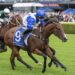 King sees herself in pint-sized Rosebud favourite
