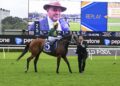 ‘We got our pants pulled down’: Moody weighs Cox Plate as Sheza Alibi’s best trip remains a mystery