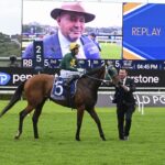 ‘We got our pants pulled down’: Moody weighs Cox Plate as Sheza Alibi’s best trip remains a mystery