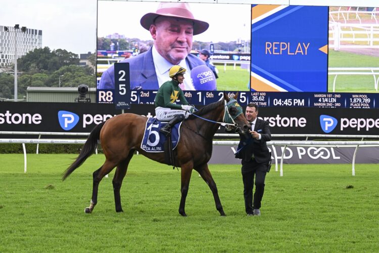 Peter Moody is keeping the Cox Plate on the table for Sheza Alibi after her defeat by Autumn Glow in the Winx Stakes. [Bradley Photos]