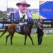 ‘We got our pants pulled down’: Moody weighs Cox Plate as Sheza Alibi’s best trip remains a mystery
