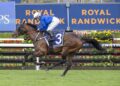 Derby winner Green Spaces begins crucial transition against spring stars