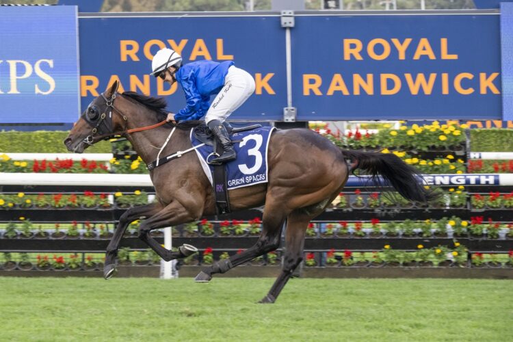 Australian Derby winner Green Spaces begins his spring campaign in the Group 1 Winx Stakes at Randwick. [Bradley Photos]