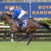 Derby winner Green Spaces begins crucial transition against spring stars