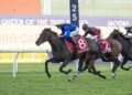 Idle Flyer returns to trials ahead of King Charles campaign