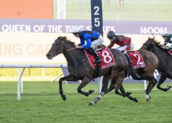 Idle Flyer returns to trials ahead of King Charles campaign