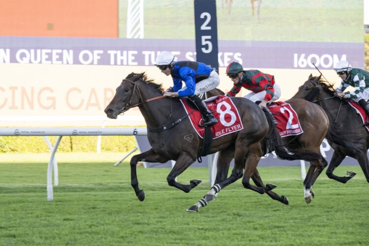 Queen Of The Turf Stakes winner Idle Flyer will have her final barrier trial at Rosehill on Friday ahead of her spring return for trainer Matt Smith. [Bradley Photos]