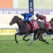 Idle Flyer returns to trials ahead of King Charles campaign