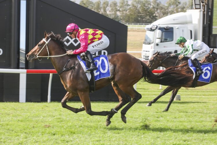 Queen Regent will tackle the boys in The Rosebud after scoring a stunning $151 Black Type victory at Scone last preparation. [Bradley Photos]