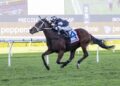 Tazima primed to make it four straight