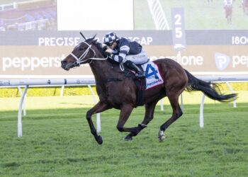 Tazima primed to make it four straight
