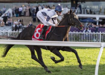 Baker hoping fitness trumps class in Missile