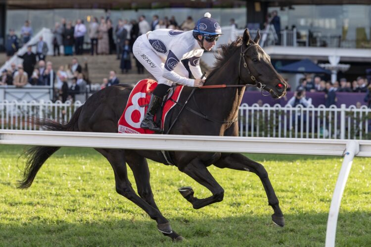 Midnight Dynamite takes winning form and a fitness edge into Saturday’s Group 2 Missile Stakes at Randwick for trainer Bjorn Baker. [Bradley Photos]
