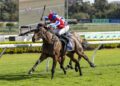 Payne plots spring path for promising Persian Wonder