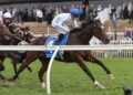 Funshow’s flying as Doyle plots bigger spring targets