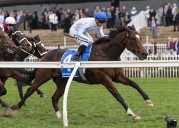 Funshow’s flying as Doyle plots bigger spring targets